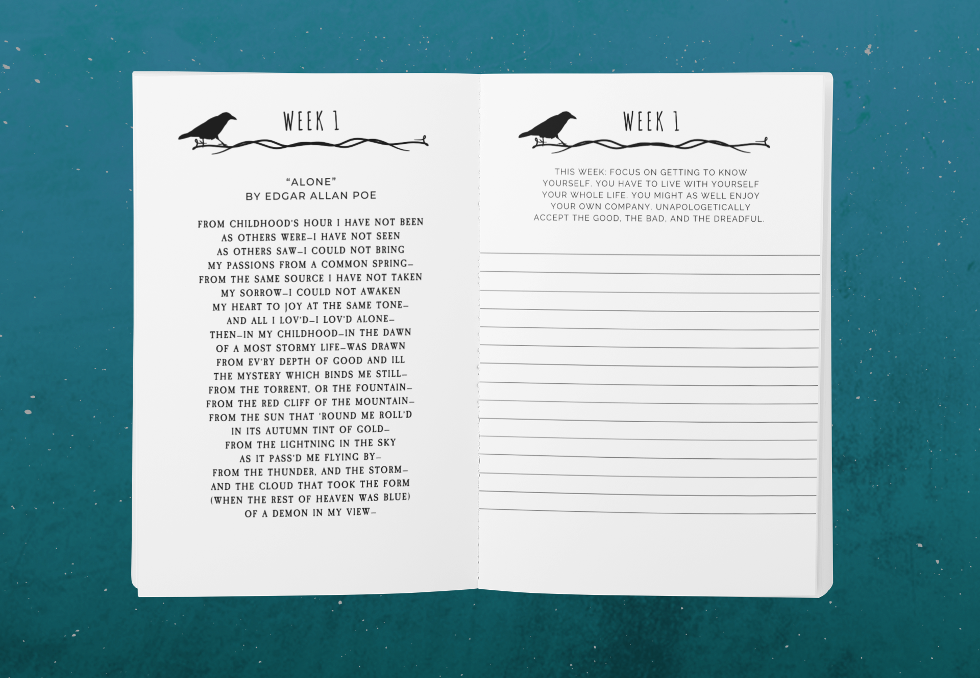 Daily Dreadful Devotional 13 week journaling guide